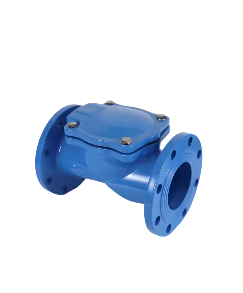 Rubber flap check valve H44X-16Q