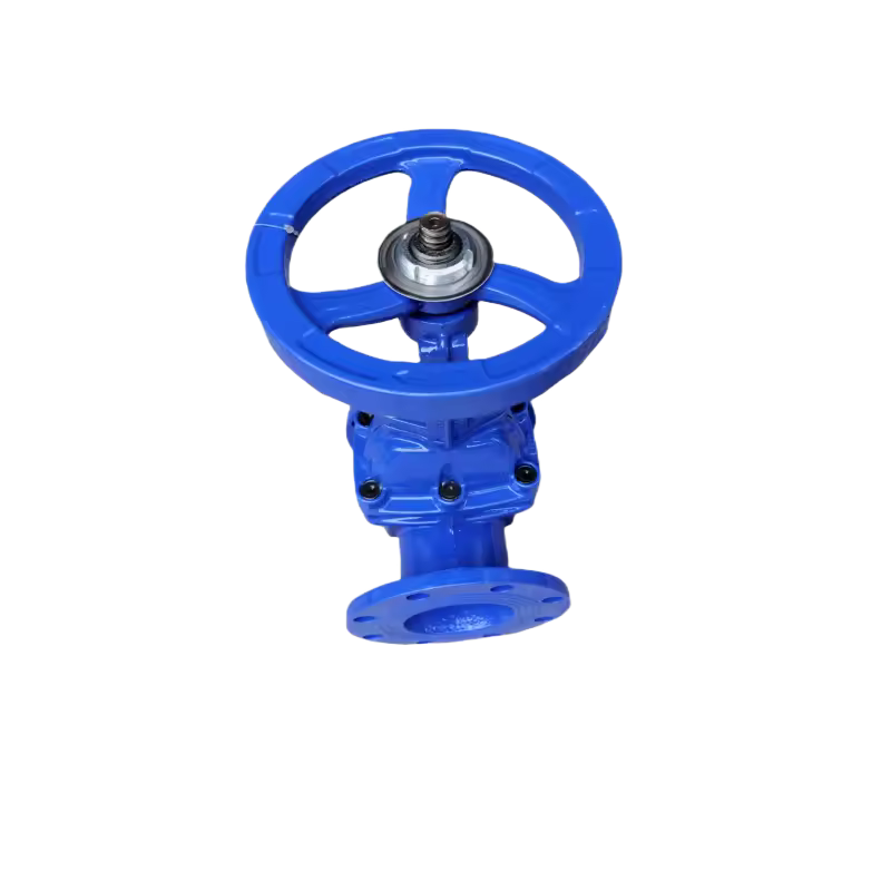 Bright rod soft seal gate valve Z41X-16Q