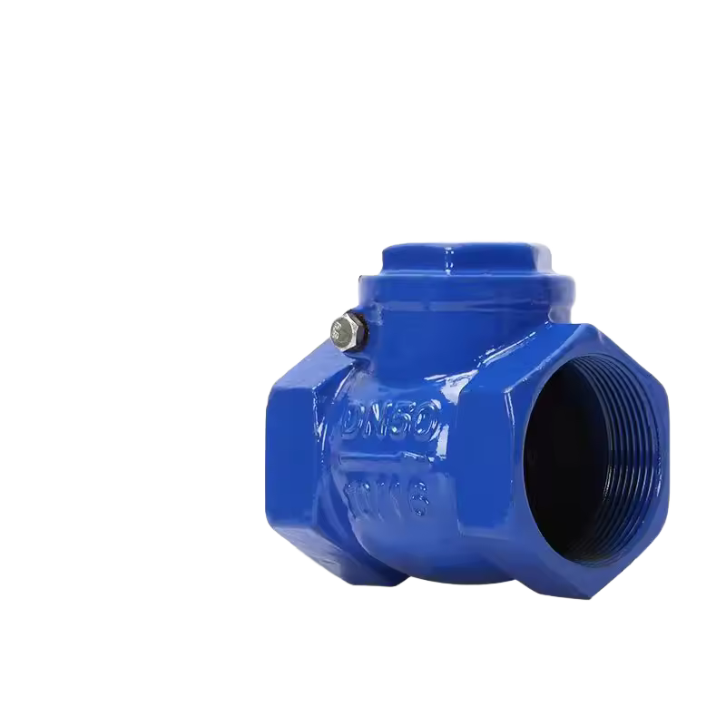 Cast iron threaded check valve H14X-16Q