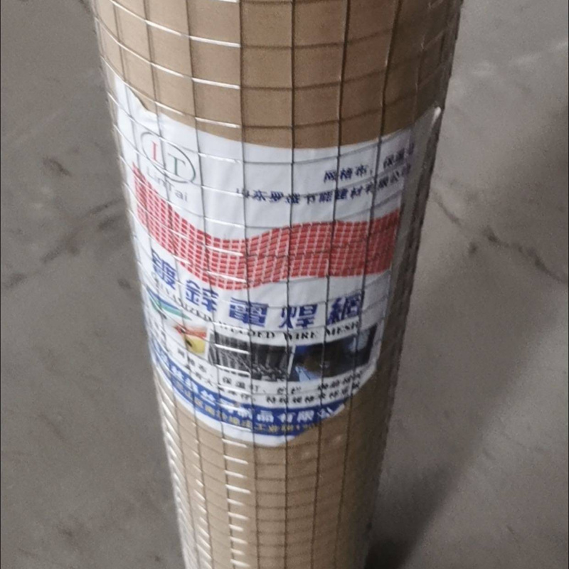 Galvanized Welded Iron Wire Mesh Roll for Construction Protection and Fencing