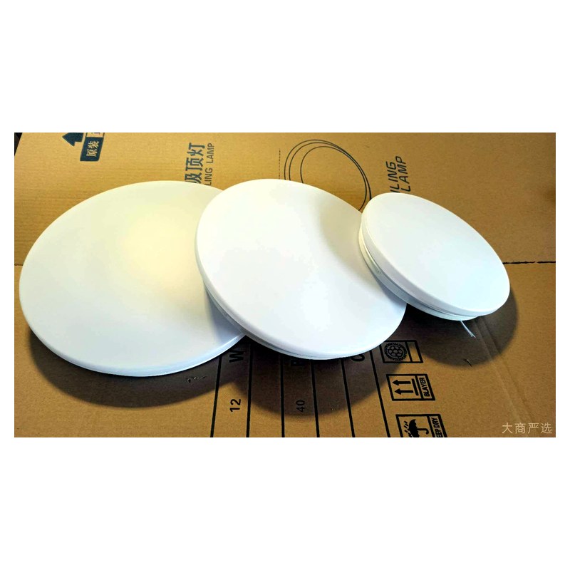 Round LED Ceiling Lamp Modern Minimalist Indoor Bedroom Living Room Ceiling Light Fixture