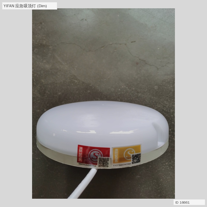 Round LED Emergency Ceiling Light
