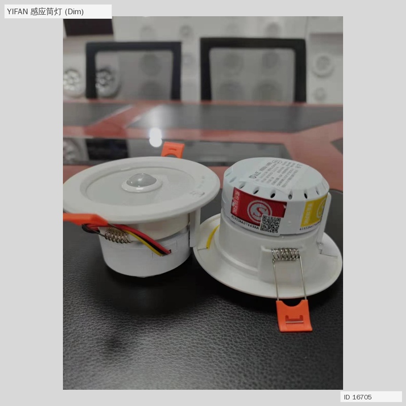 Human Body Induction LED Downlight