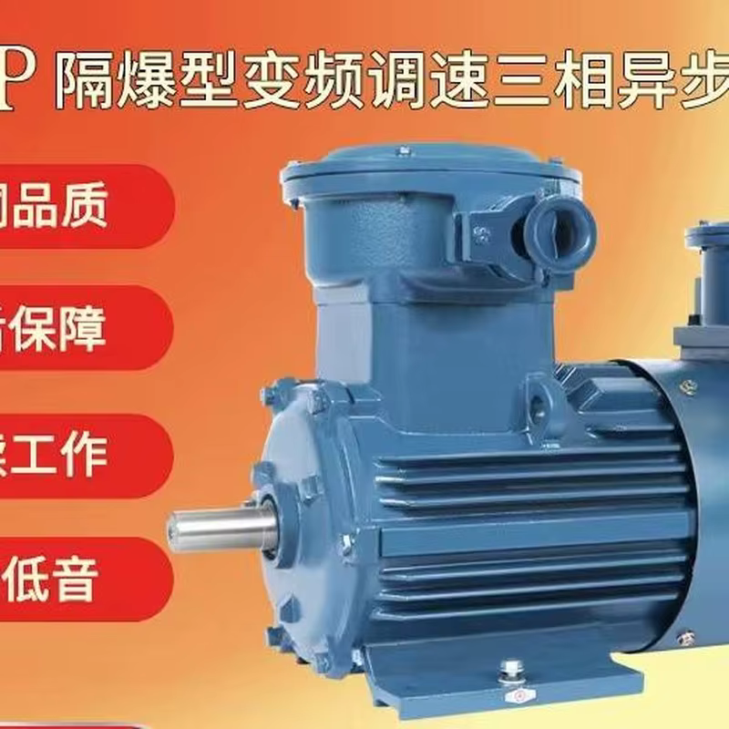 MS Series Three-Phase Asynchronous Motor
