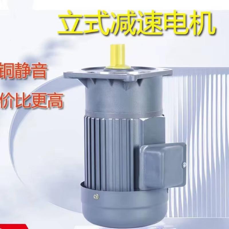 Vertical Geared Motor (Gearbox Motor Series)