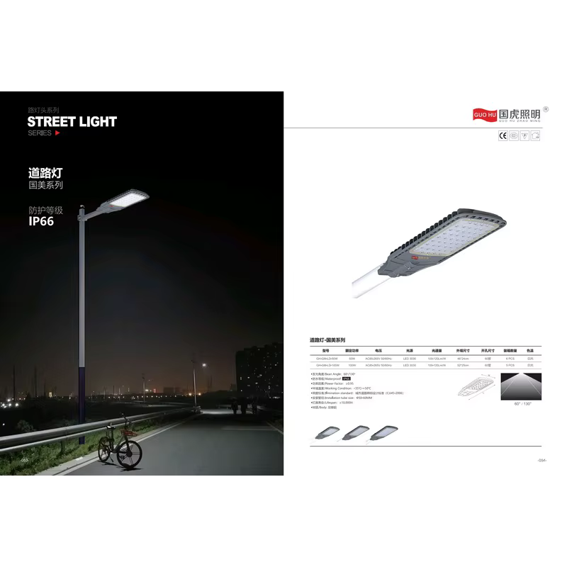 国虎LED路灯 国美小金豆路灯 玻璃款 50W 100W IP66 户外道路灯