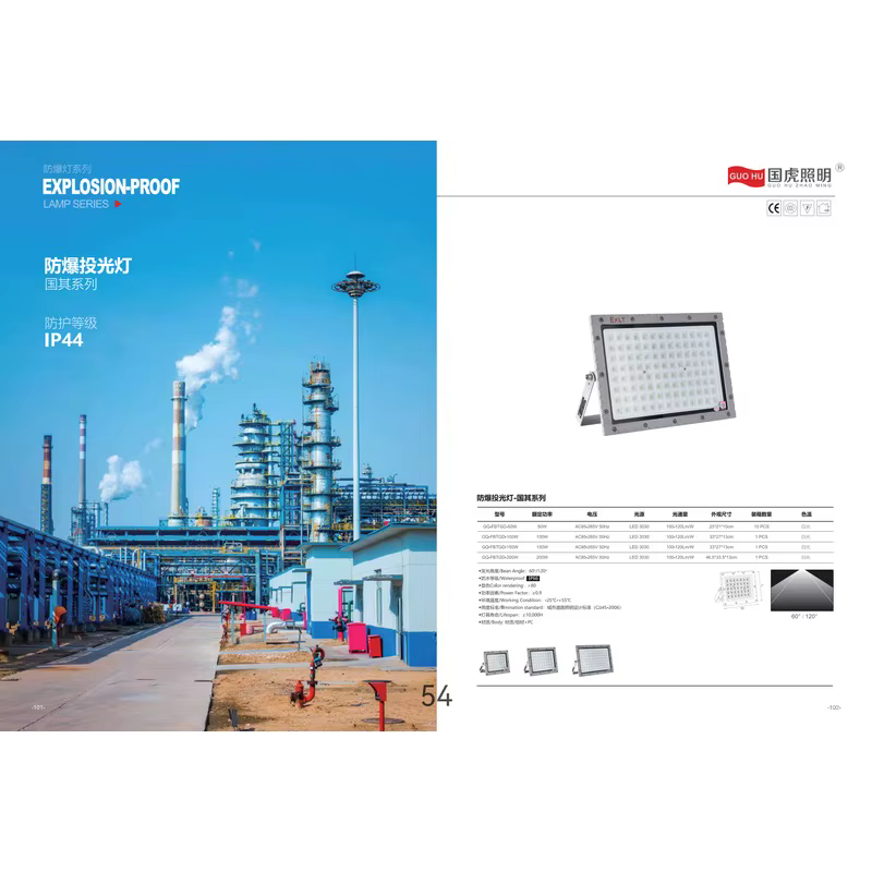 国虎LED油站灯 明装款 100W 150W 200W 250W IP44 加油站罩棚灯