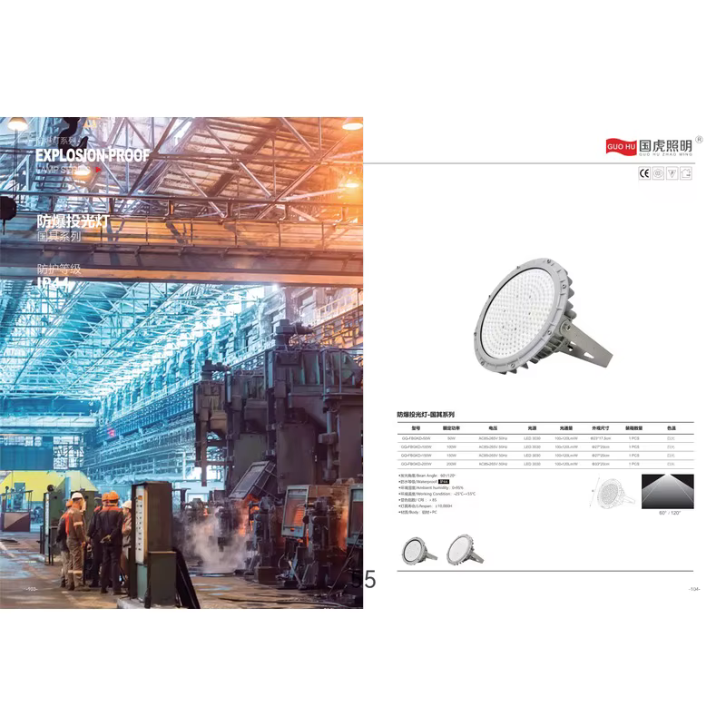 国虎LED防爆投光灯 国美系列 50W 70W 100W 150W 200W 250W IP66 工