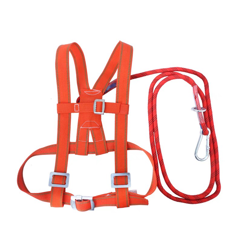 Full body seat belt