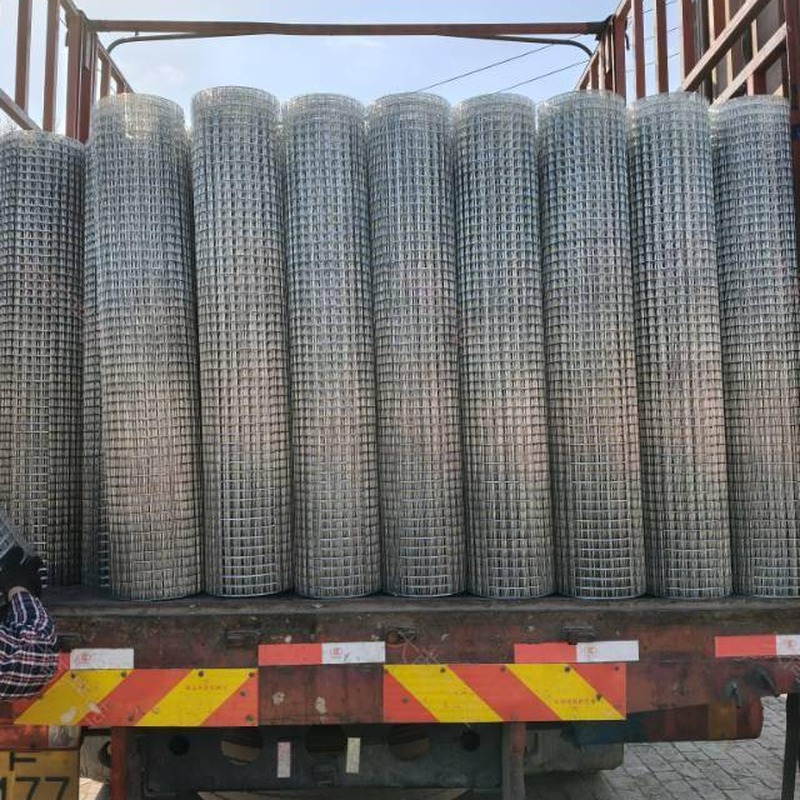 3/4 Inch Galvanized Welded Wire Mesh Roll