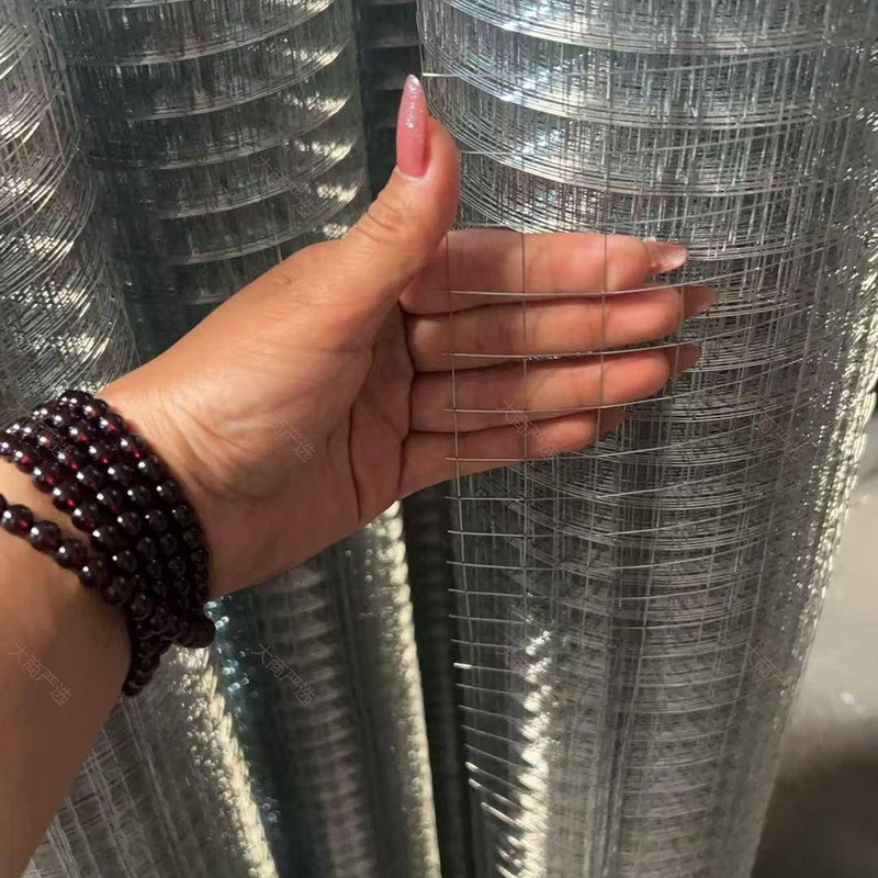 1/2 Inch Galvanized Welded Wire Mesh Roll