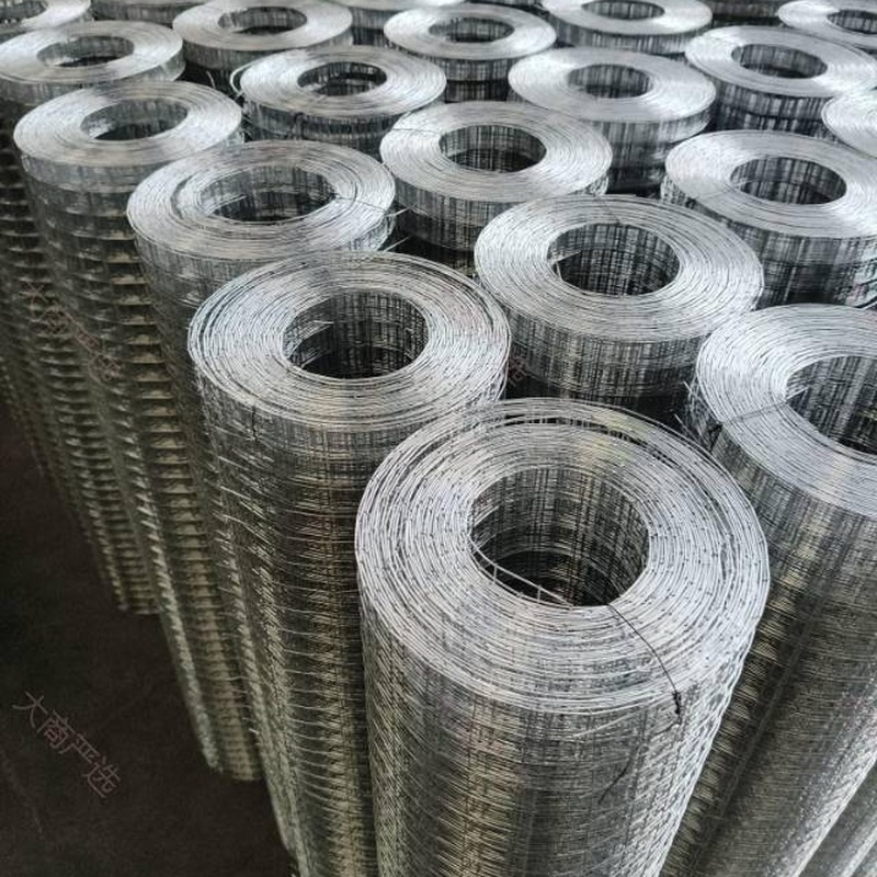 Galvanized Welded Wire Mesh Roll for Construction