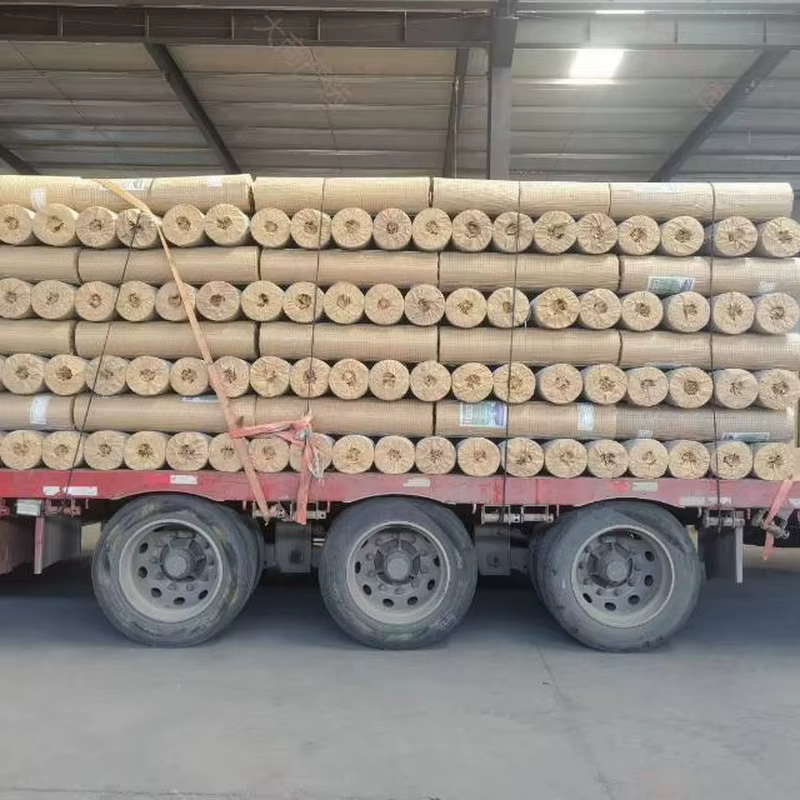 Welded Wire Mesh