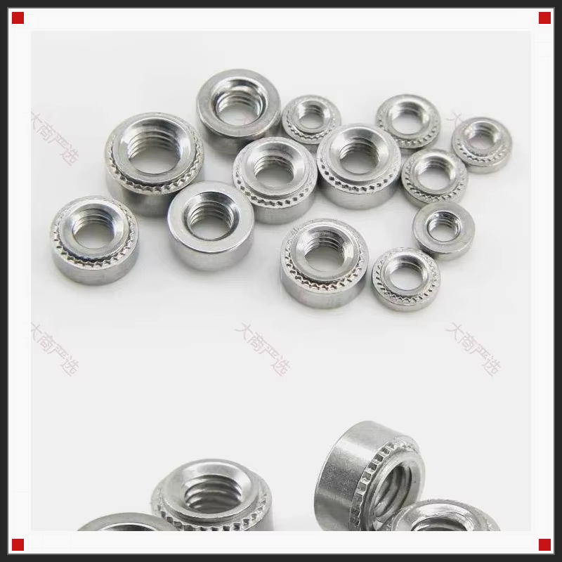 Stainless Steel Clinch Nut