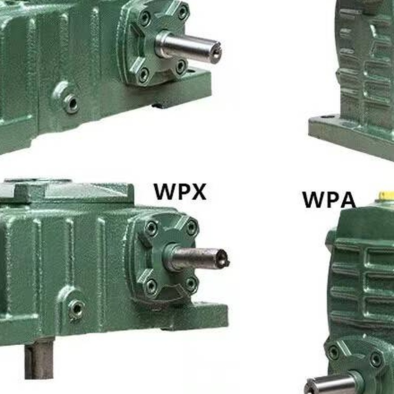 WP Series Worm Gear Reducer