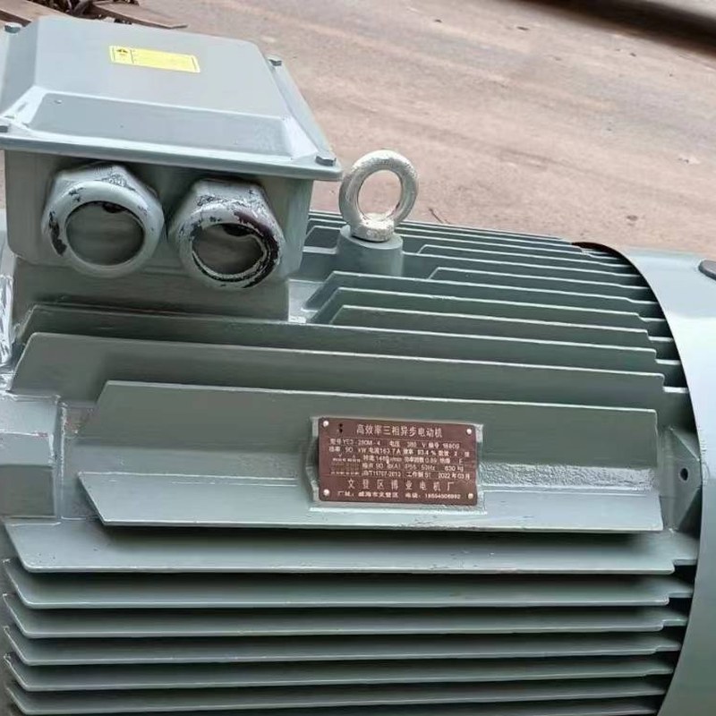 YE3 Series Three-Phase Asynchronous Motor