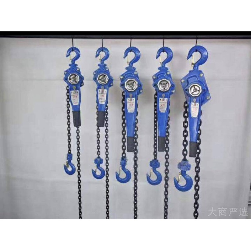 Flying Crane HSZ Series Hand Pulling Gourd and HSH Series Hand Pulling Gourd Kit 1T-10T Crane Gourd Combination