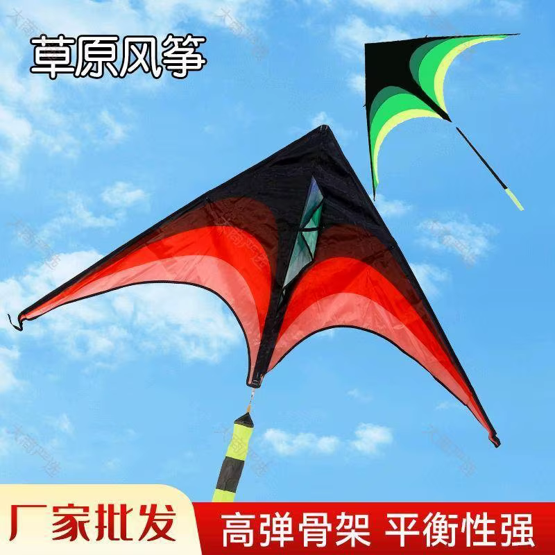 草原风筝 三角翼大型户外风筝 高弹骨架