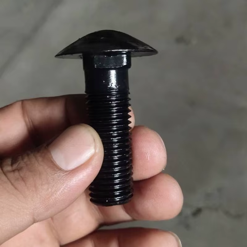 Carriage bolt with semi-circular head and square neck
