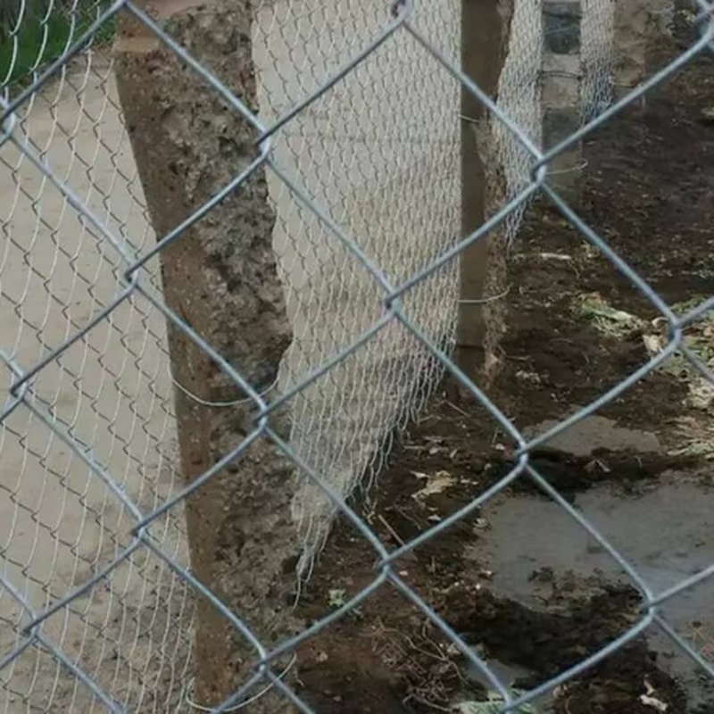 Captivity Net