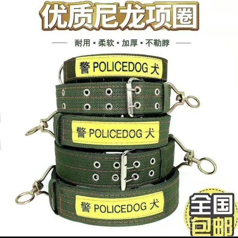 Dog Collar, Pet Collar, Chrome Plated Metal Chain