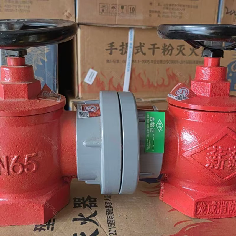Indoor Fire Hydrant (SN65 National Standard)	