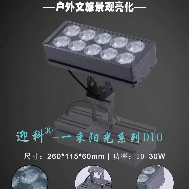 LED Flood Light D10