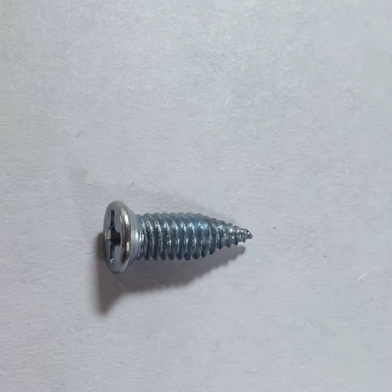 Keel Self-Tapping Screw (Light Steel Drywall)