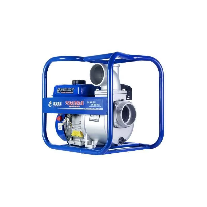 Gasoline Water Pump