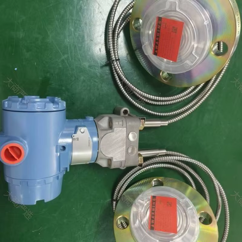 Differential Pressure Transmitter with Remote Seal	