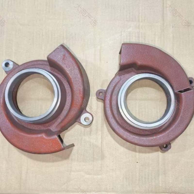 Red Cast Iron Impeller Cover Plate	
