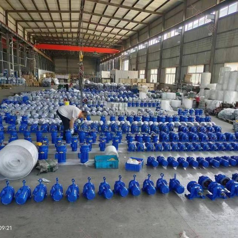 Mingchun Reinoll Series Worm Gear Reducer with Cast Iron Housing	