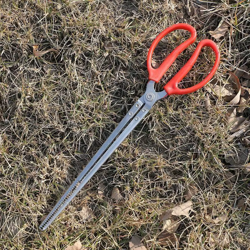 Seafood Catching Clamp for Tidal Flat