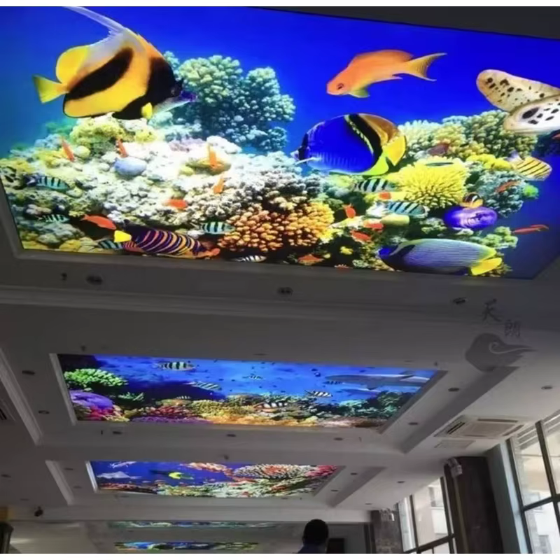 Transparent soft film ceiling