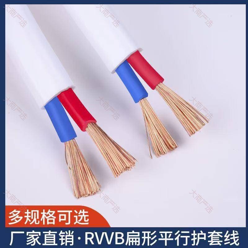 RVVB Pure Copper Sheathed Wire