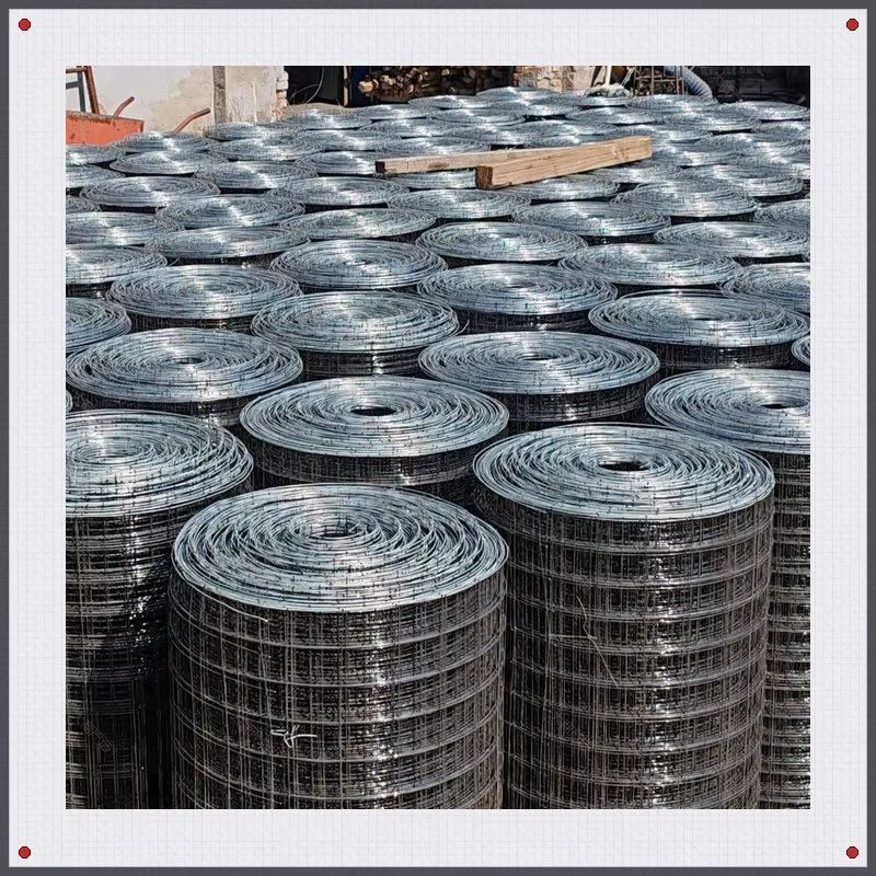 Stainless Steel Welded Wire Mesh	