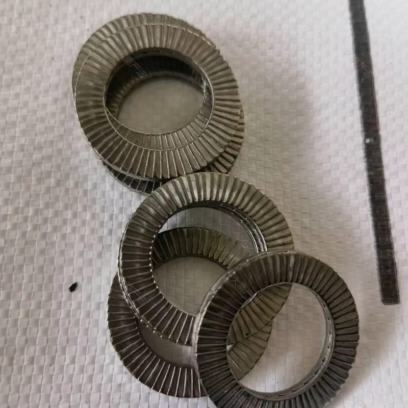 Stainless Steel Lock Washers