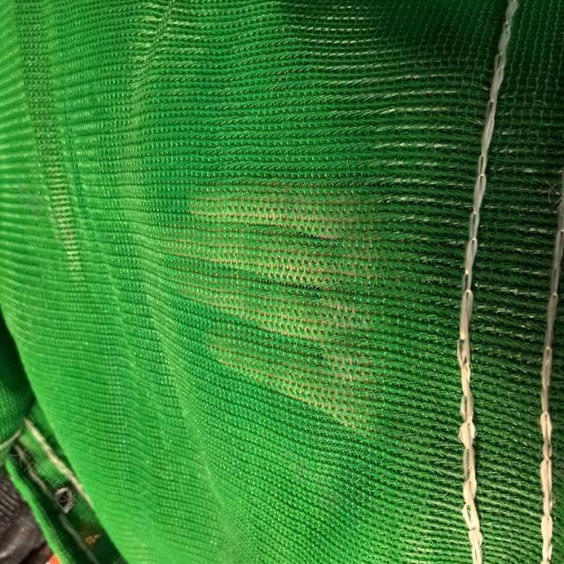 PE dense mesh vertical safety net for construction (green fall protection dense mesh net)