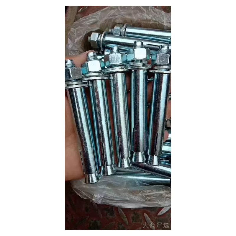 Expansion Bolt and Cap Nut Set
