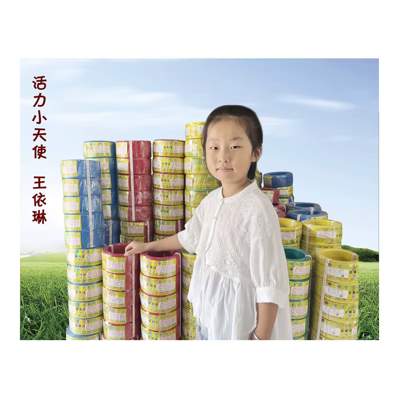 Lvdengxing BV single core solid wire, 1.5-6mm², national standard flame retardant wire for household use