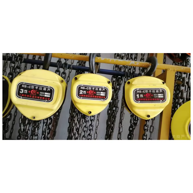 El pequeño elevador doméstico de 100 - 1200kg se enrolla con la cuerda de acero 220V de la calabaza eléctrica en miniatura tipo PA.