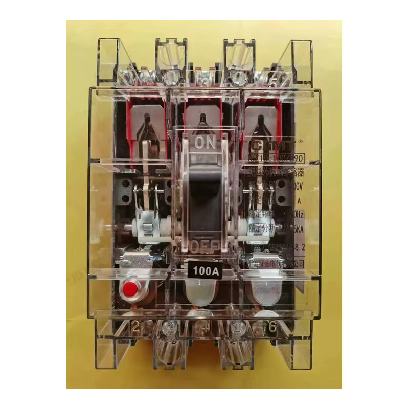 DZ158-100 series miniature circuit breaker