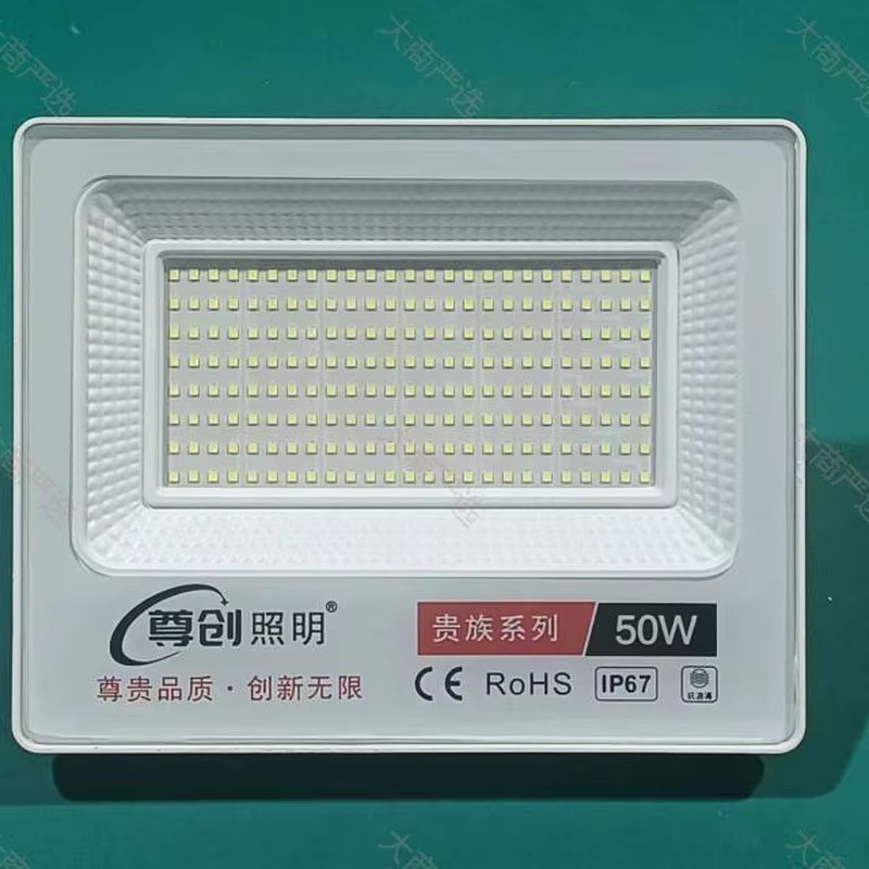 Zunchuang Noble White Dragon Bright Floodlight