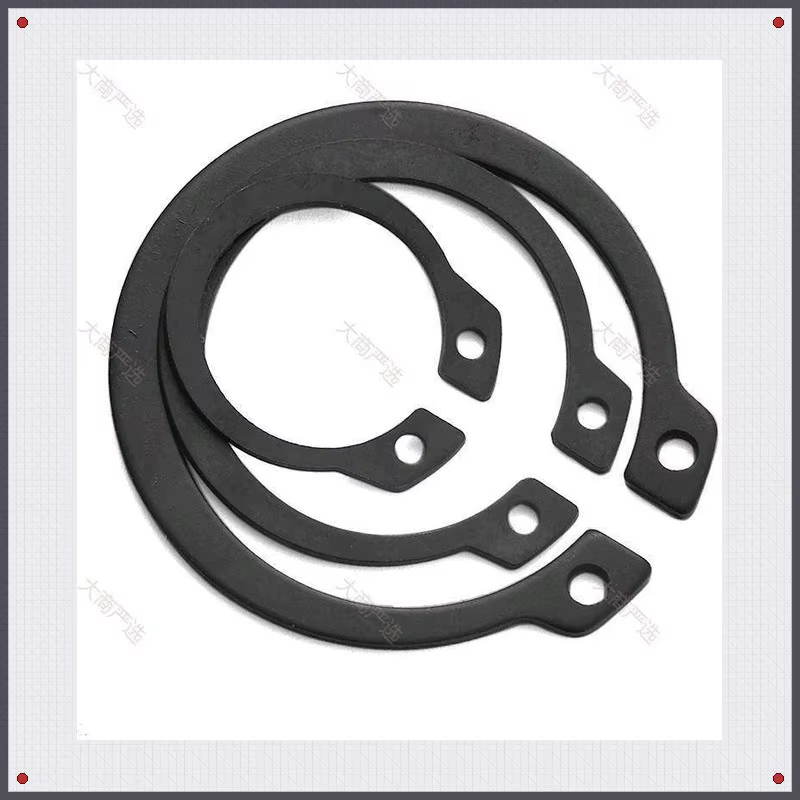 Retaining Ring Spring