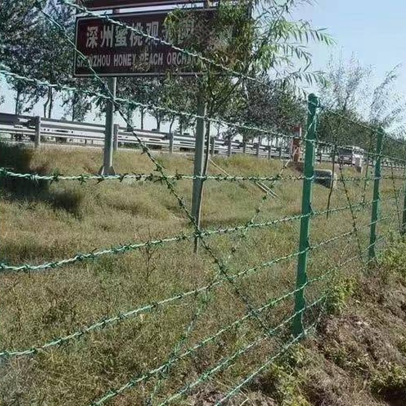 barbed wire