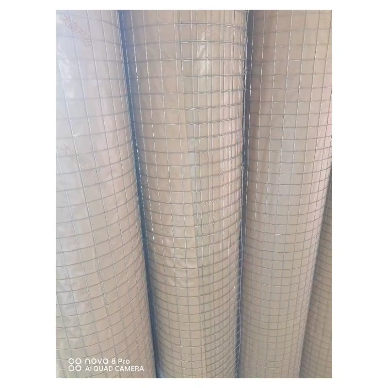 Galvanized Welded Wire Mesh Roll