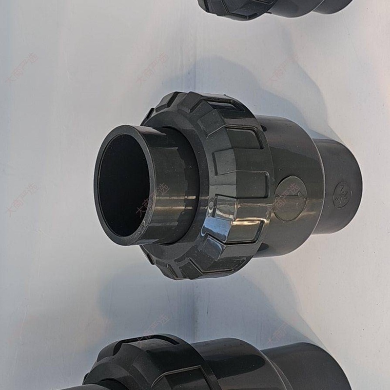 UPVC Check Valve Foot Valve Swing Type for Chemical Pipeline	