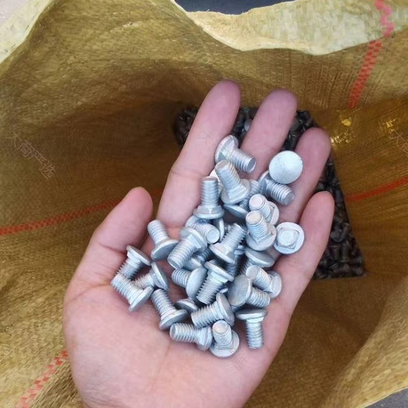 Cable Tray Screw (Rack Bolt)