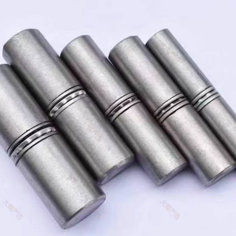 Cylindrical Door Pivot Hinge	