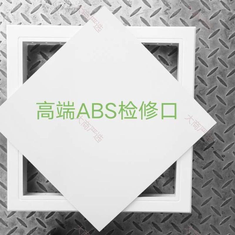 ABS Access Panel